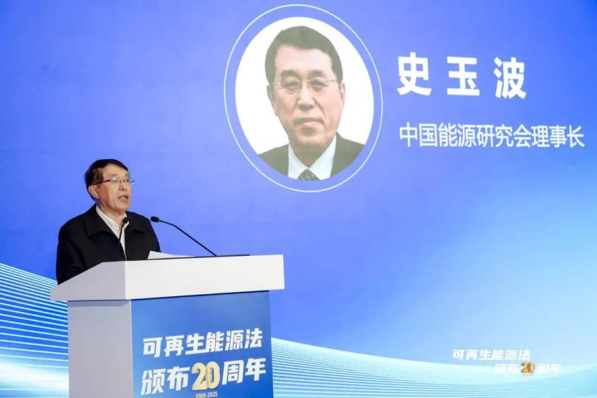 可再生能源法颁布20周年主题活动——共绘绿色转型新蓝图(图11)