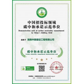 “双碳”目标提出5年:中国实践与战略思考