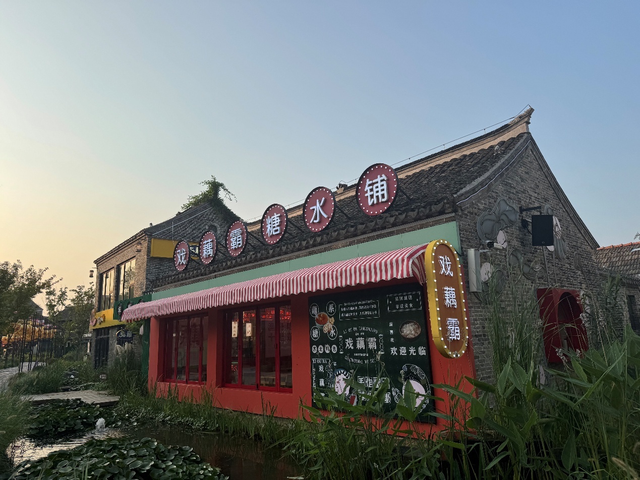 外媒看盐城：邂逅“绿”与“新”(图9)