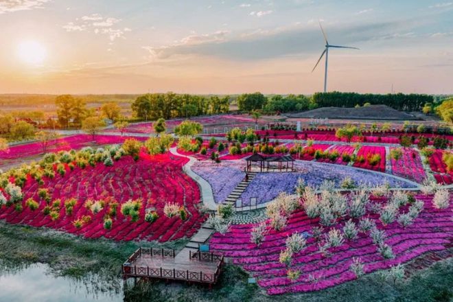 大庆油田碳中和生态园：厚植“绿美”底色 绘就生态画卷(图1)