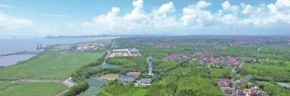 一场“减碳革命”正在世界级生态岛崇明悄然发生(图5)