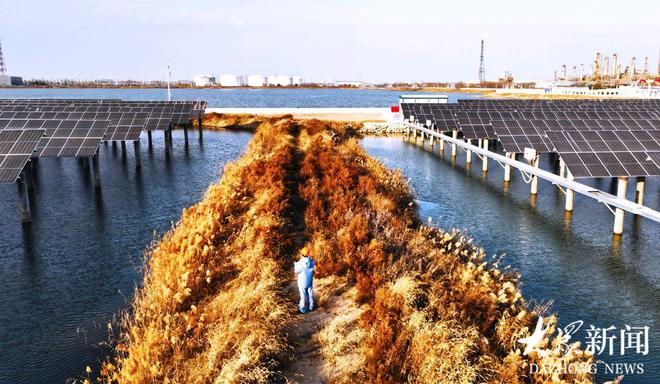 既能零售又可批发！全国首座“碳中和”加氢站在青岛诞生(图3)