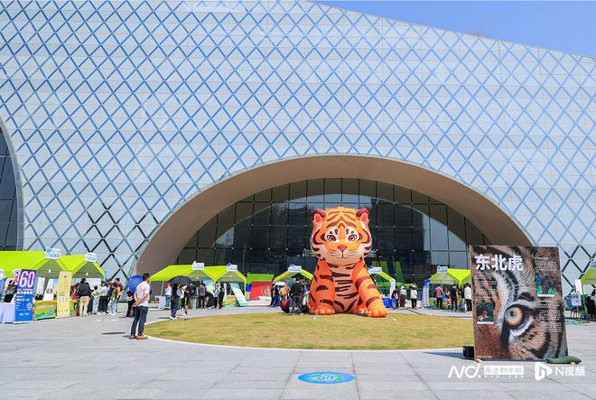 持续18年的全球环保活动“中国区主场城市”为啥在横琴？(图2)