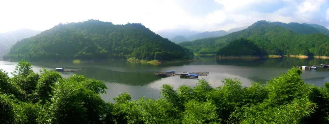 龍岩：打造森林“四庫” 實現綠富雙贏(图2)