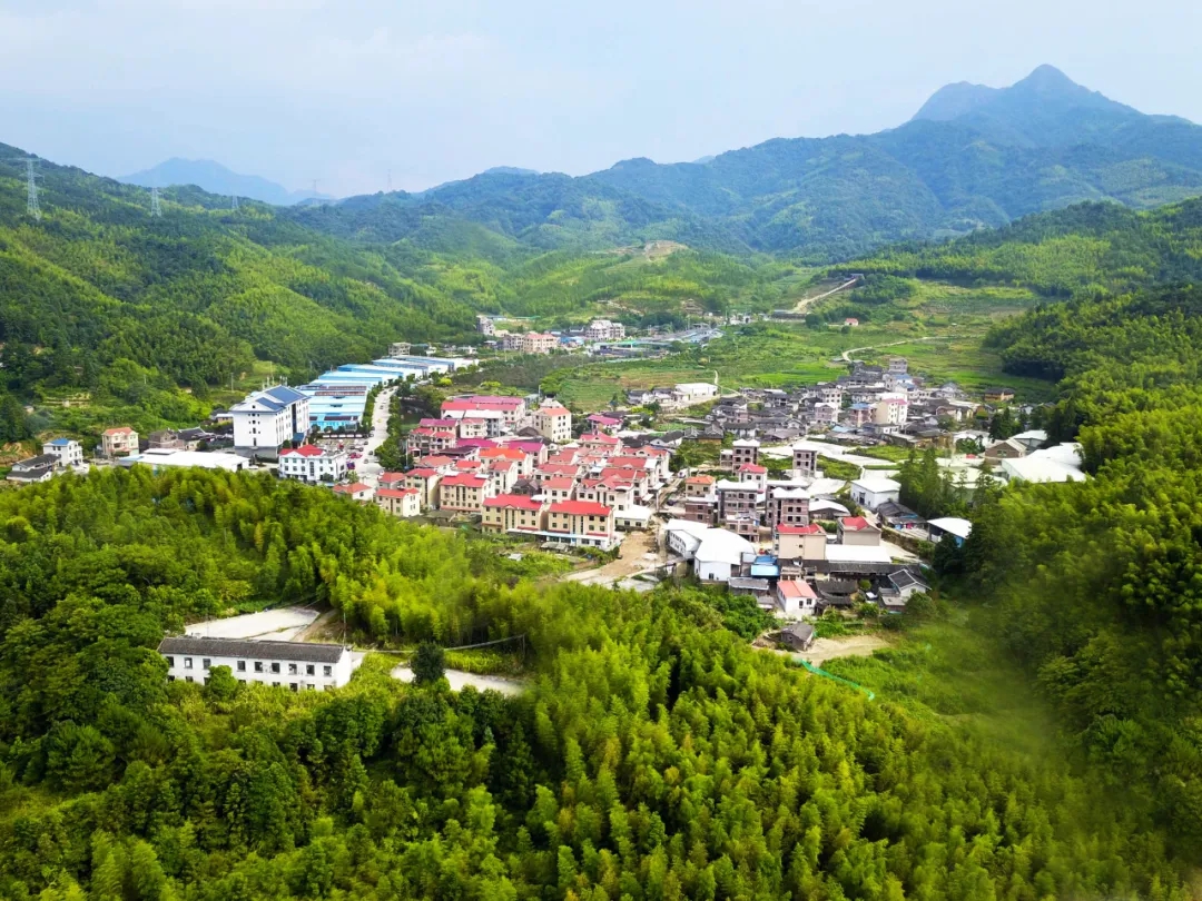 龍岩：打造森林“四庫” 實現綠富雙贏(图3)