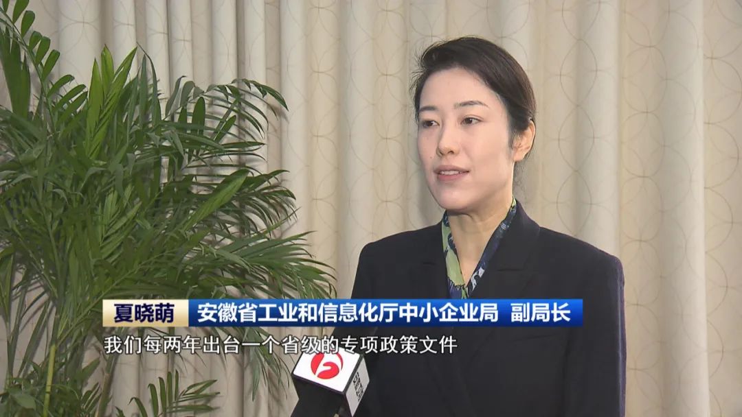 【促进民营经济高质量发展】走专精特新之路 安徽激活民营企业“关键力量”(图4)