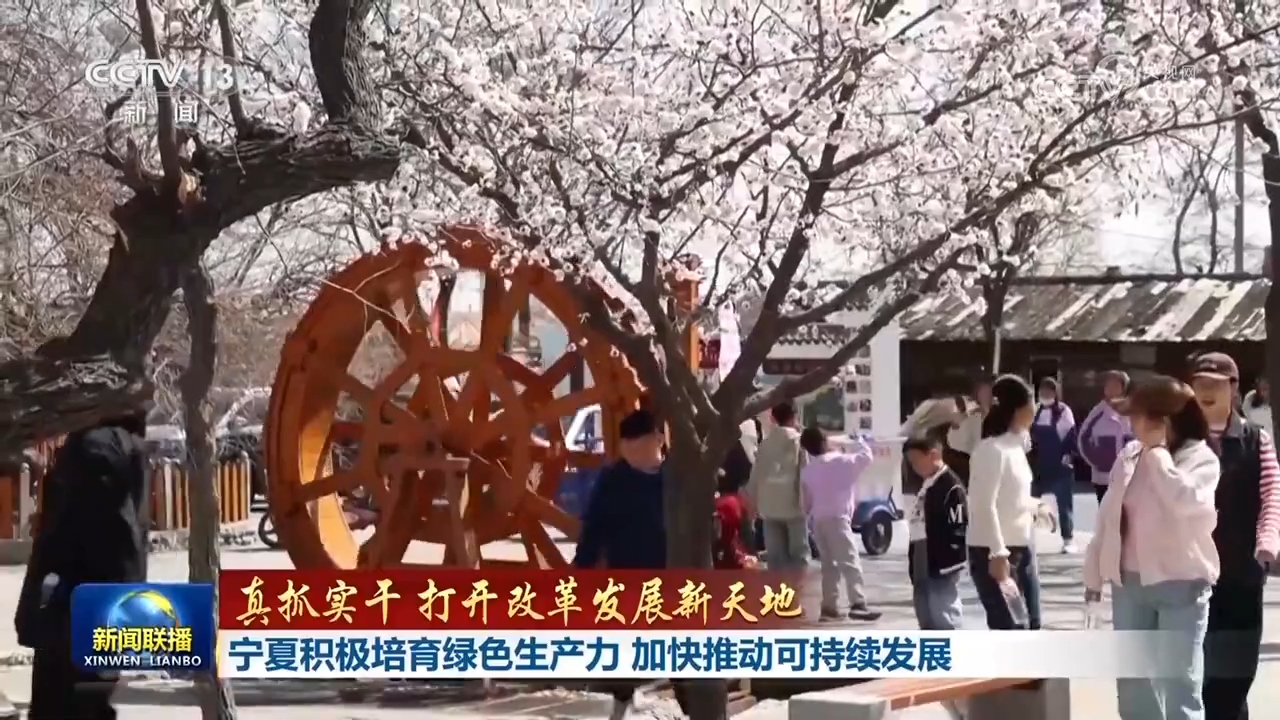 【真抓实干 打开改革发展新天地】西藏、宁夏立足自身资源优势 加快绿色低碳产业布局(图4)